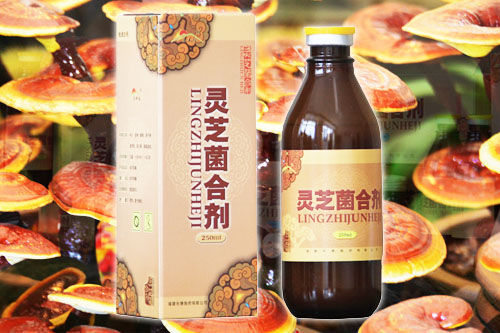 靈芝菌合劑用法與用量